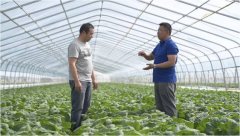 2024年复合肥销量达435.71万吨；目前已具有各类高